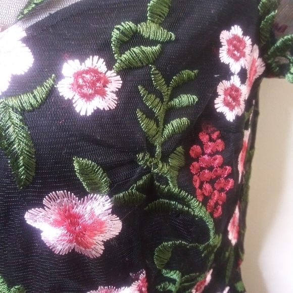 Modcloth Rose & Green Floral Embroidered Black Net Dress - Picture 6 of 13